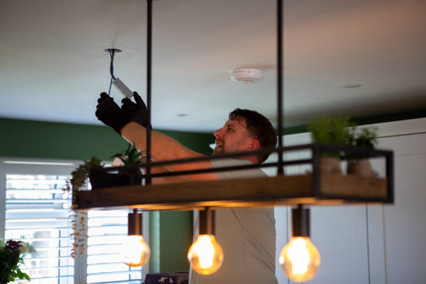 Best Home Electrical Repair  in Alpine, TX